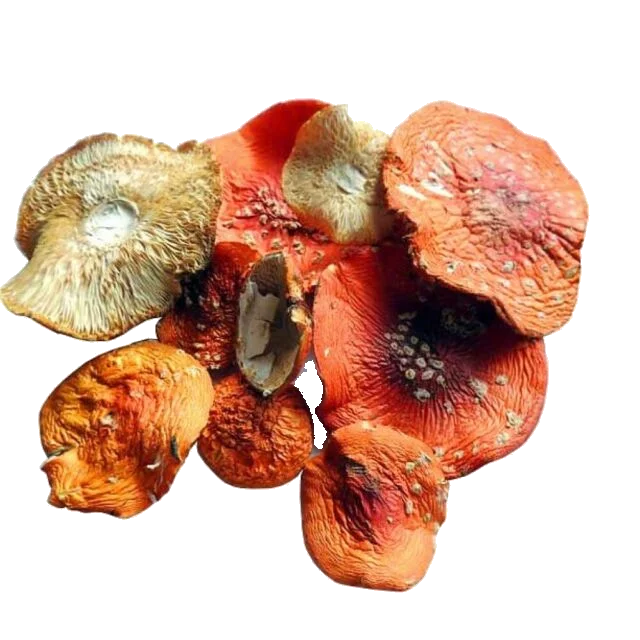 Amanita muscaria dried mushrooms
